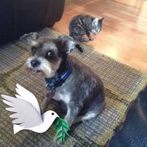 Meet your Posher, Caroline